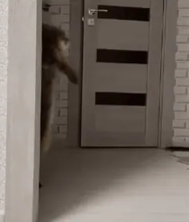 🌟 8acb35c7 telegram sticker