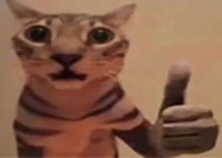 🌟 be5c7379 кот, палец вверх, мем, животное, смешной, интернет telegram sticker