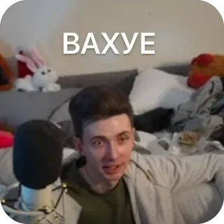 🌟 fed675be ВАХУЕ человек, мужчина, микрофон, в помещении telegram sticker