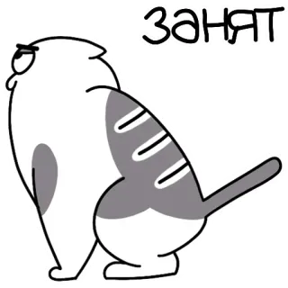 ♨️ 3677bd98 занят gato, ocupado, dibujos animados, pegatina, animal telegram sticker