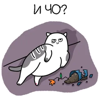 🖕 707c58c8 И ЧО? gato, perezoso, aburrido, planta, maceta rota, indiferente, pregunta telegram sticker