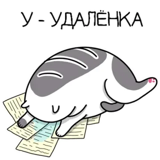 ⚰️ 8dfb42fa У-УДАЛЁНКА gato, teletrabajo, documentos, dibujo animado, agotamiento telegram sticker