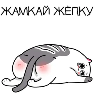 🍑 bfac273a ЖАМКАЙ ЖЁПКУ gato, animal, trasero, ruso, pegatina, lindo telegram sticker