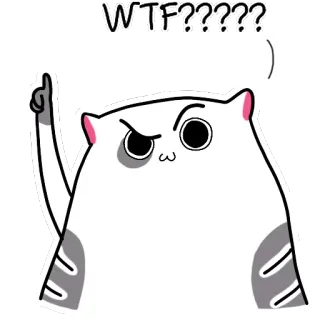 🤨 3e077f90 WTF??????? mèo, wtf, hoạt hình, hài hước, nhãn dán, câu hỏi telegram sticker