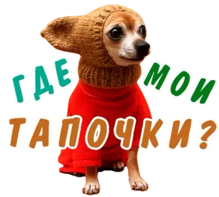 😏 b49f7cc5 ГДЕ МОИ ТАПОЧКИ? Hund, russischer Text, lustig, Tier, Haustier telegram sticker