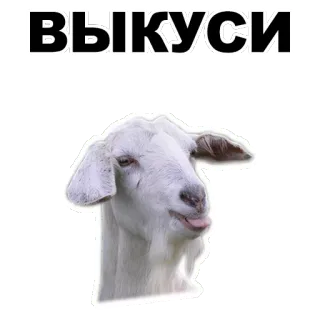 😜 7a480d88 ВЫКУСИ kambing, hewan, lidah, meme telegram sticker
