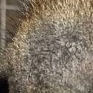 🌟 1a2468cd telegram sticker