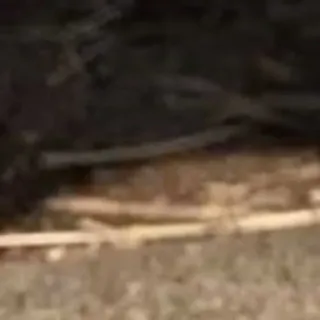 🌟 28bf0e02 telegram sticker