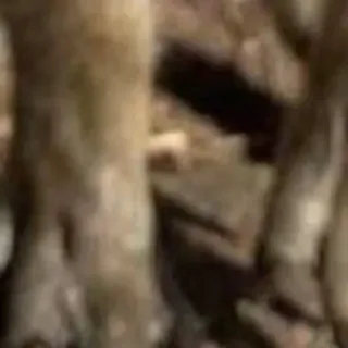 🌟 5978a6e0 telegram sticker