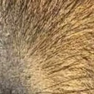 🌟 71662f1a telegram sticker