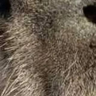 🌟 7887970a telegram sticker