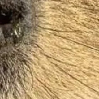 🌟 86967d9d telegram sticker