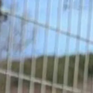 🌟 96613a37 telegram sticker