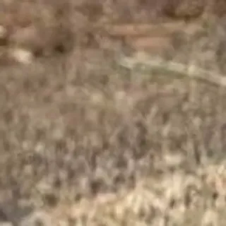 🌟 9ecf9ded telegram sticker