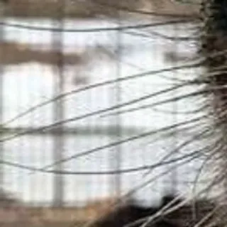 🌟 a3a4665e telegram sticker