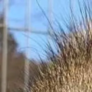 🌟 cc433ac9 telegram sticker