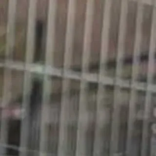 🌟 f16fa940 telegram sticker