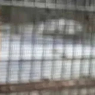 🌟 fb3e27c9 telegram sticker