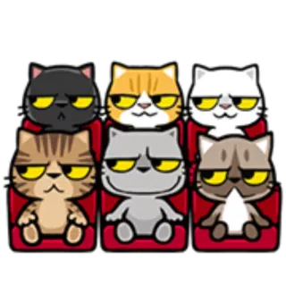 😏 17b2d937 koty, zwierzęta, emocje, zrzędliwy, kreskówka, żółte oczy, siedzący telegram sticker