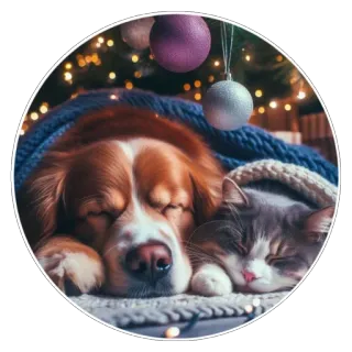 🥰 700229af Hund, Katze, schlafend, Weihnachten, süß, Tiere, Winter telegram sticker