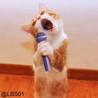 🎤 37d1cead @LBS01 cat, microphone, singing, pet, animal, karaoke whatsapp sticker