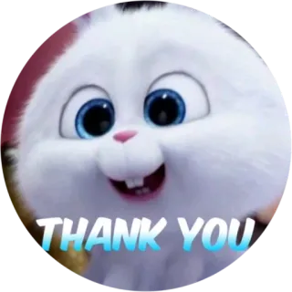 😘 ee9101a8 THANK YOU спасибо, милый, заяц, кролик, животное, благодарность telegram sticker