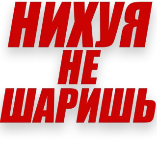 🤯 29e77783 НИХУЯ
HE
ШАРИШЬ russian, text, offensive telegram sticker