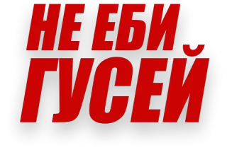 😳 86442dc1 НЕ ЕБИ ГУСЕЙ russian, text, offensive, slang telegram sticker