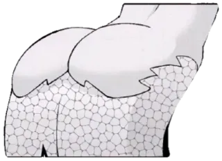 Мия ЧБ by @FordDionOdinochka whatsapp stickers