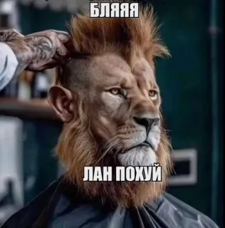 by: @raackz telegram stickers