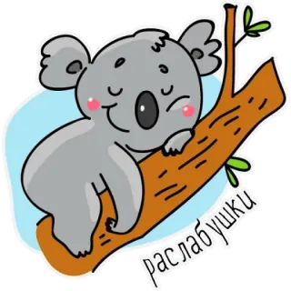 🐨 9c817605 раслaбушки koala, sleeping, cute, animal, branch, relaxation telegram sticker