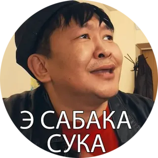 😖 174419e4 Э САБАКА СУКА 侮辱, 冒犯, 俄语, 脏话 telegram sticker