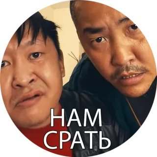 🙄 e077cbf8 НАМ СРАТЬ telegram sticker