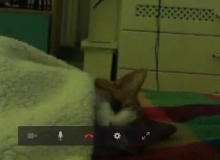 🌜 f5351035 telegram sticker