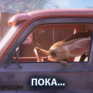 👋 818d386f ПОКА... tier, auto, sonnenbrille, fahren, russisch, tschüss whatsapp sticker