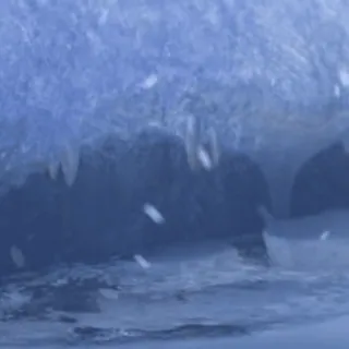 Zootopia Ani (@ganstfeveral) telegram stickers