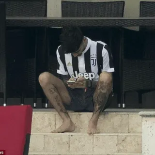 🌸 1ebfb13c whatsapp sticker