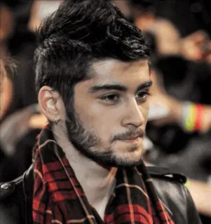 MOOD ZAYN ( @zedisminebitch ) telegram stickers