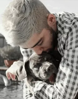 🐶 59a34c11 man, dog, hug, affection, love, pet whatsapp sticker