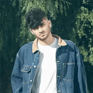 🐌 915fa38b portrait, man, denim jacket, casual, male, person whatsapp sticker