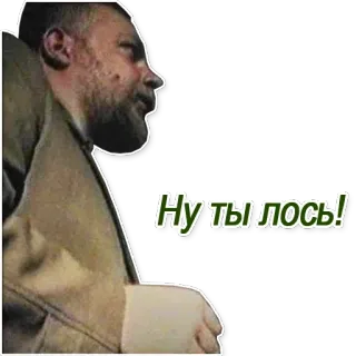 👍 98e2ad3c Ну ты лось! telegram sticker