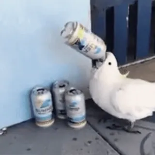 звуки тоста ed.2 :: @fStikBot telegram stickers