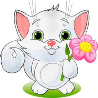 🌸 4861f062 кот, котенок, цветок, животное, милый whatsapp sticker