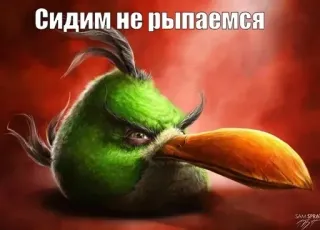 🌟 59d1aae3 Сидим не рыпаемся wütender Vogel, Vogel, Cartoon, Text, Russisch, lustig telegram sticker