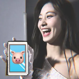 🍬 36504e33 หมู, อิโมจิ, สัตว์, สมุดโน้ต, น่ารัก telegram sticker